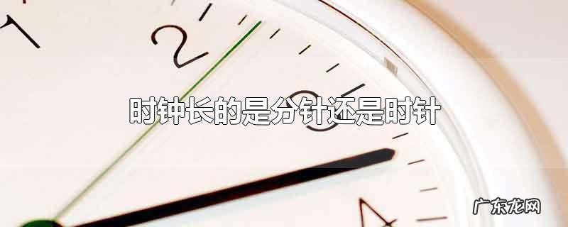 时钟长的是分针还是时针