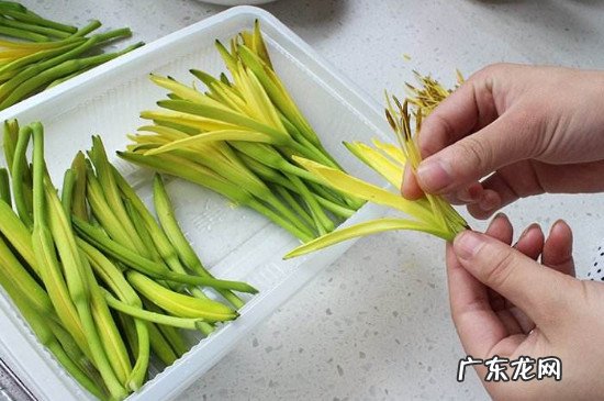 新鲜黄花菜有毒吗?怎么吃