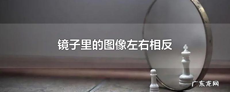 镜子里的图像左右相反