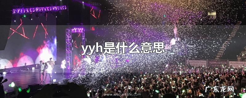 yyh是什么意思