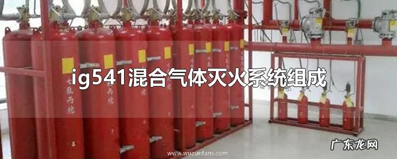 ig541混合气体灭火系统组成