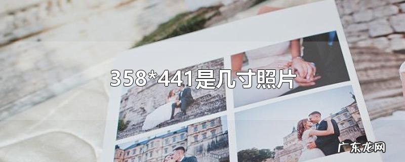 358*441是几寸照片