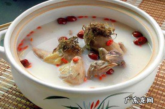 鸽子不能和什么食物一起吃吗