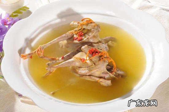 鸽子不能和什么食物一起吃吗