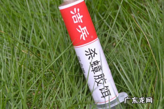 怎样判断是否有蟑螂窝