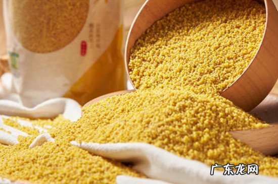 大米和小米能一起熬粥吗