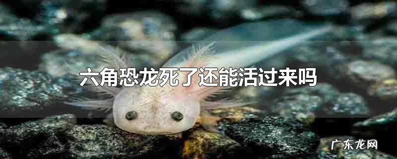 六角恐龙死了还能活过来吗