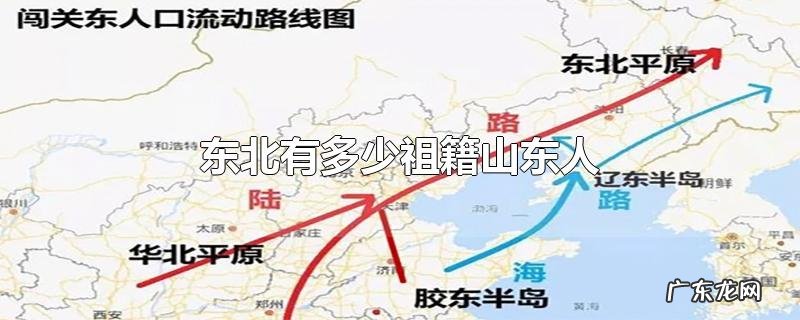 东北有多少祖籍山东人