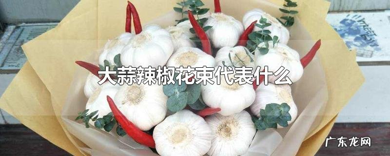大蒜辣椒花束代表什么