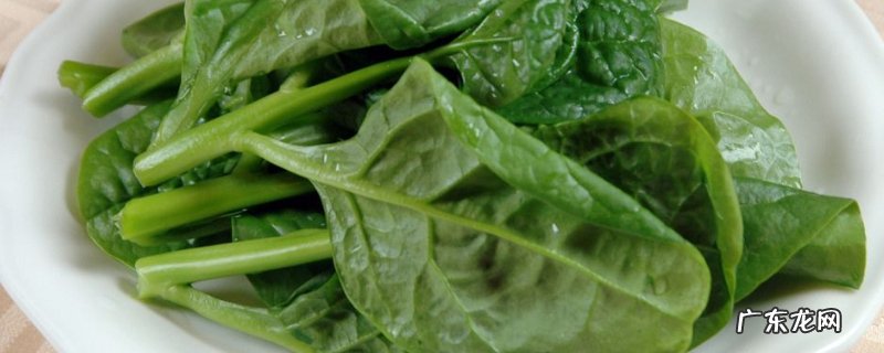 木耳菜和什么菜相克