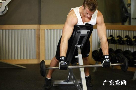 杠铃提拉练哪里