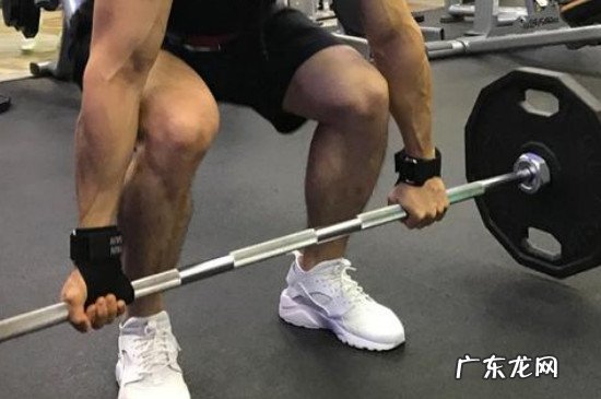 杠铃提拉练哪里