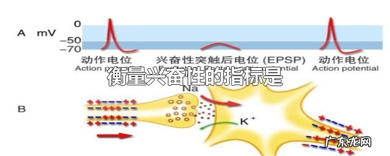 衡量兴奋性的指标是