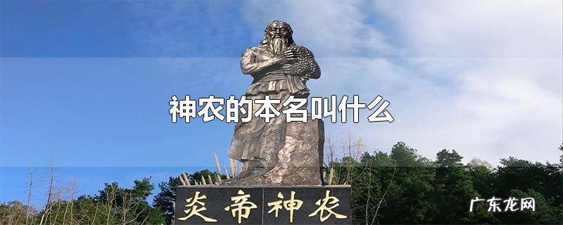 神农的本名叫什么