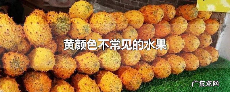 黄颜色不常见的水果