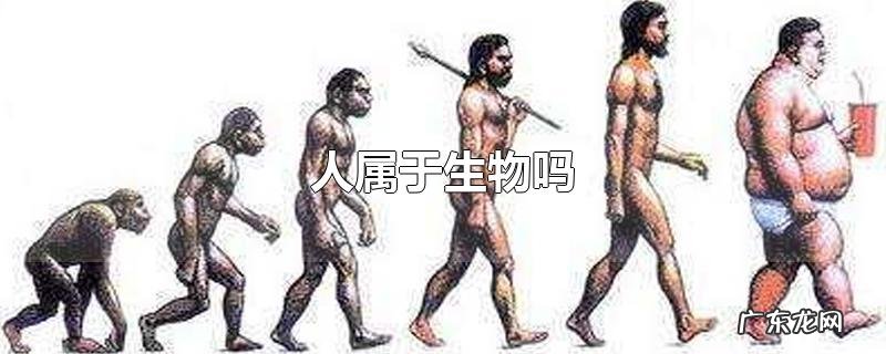 人属于生物吗
