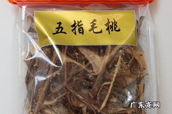 五指毛桃泡酒有什么功效