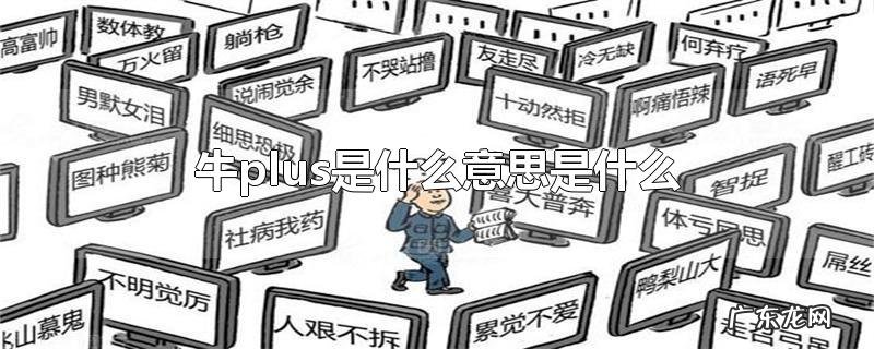 牛plus是什么意思是什么