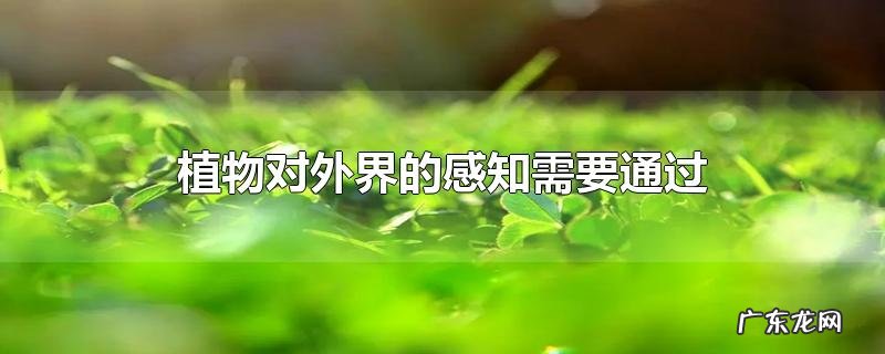 植物对外界的感知需要通过