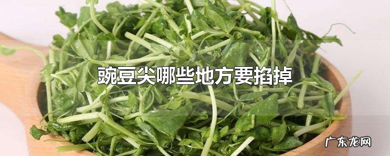 豌豆尖哪些地方要掐掉