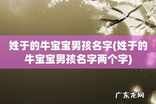 姓于的牛宝宝男孩名字两个字 姓于的牛宝宝男孩名字