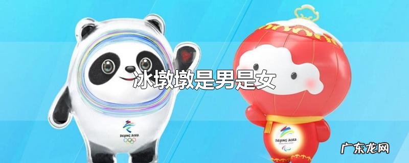 冰墩墩是男是女