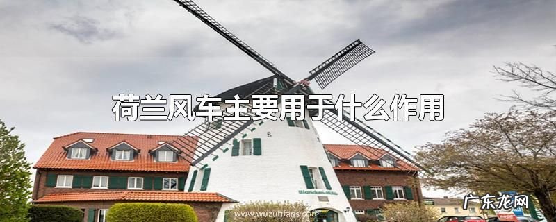 荷兰风车主要用于什么作用