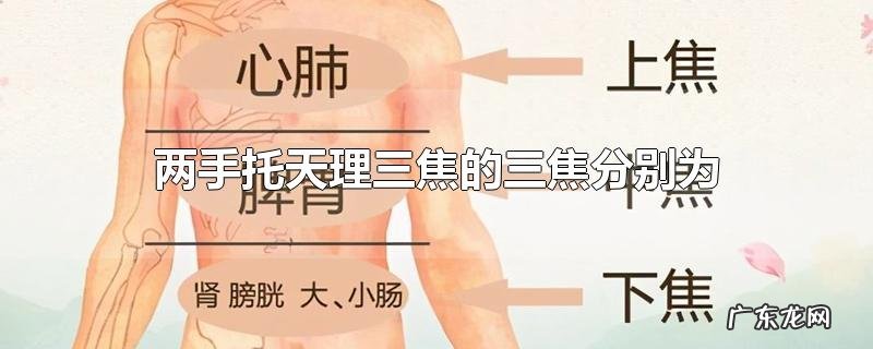 两手托天理三焦的三焦分别为