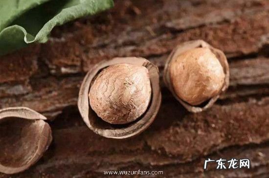 榛子一天吃多少为宜