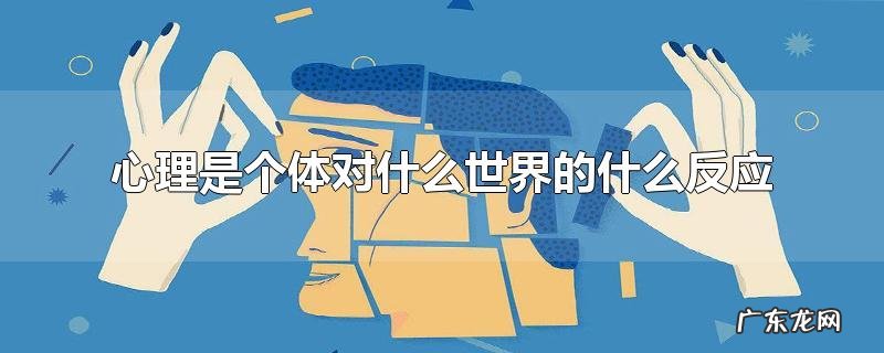 心理是个体对什么世界的什么反应
