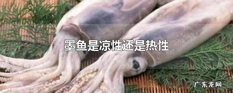 墨鱼是凉性还是热性