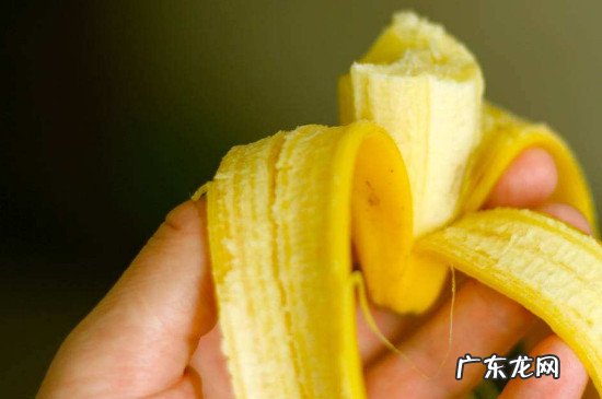 粽子可以和香蕉一起吃吗