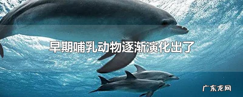 早期哺乳动物逐渐演化出了