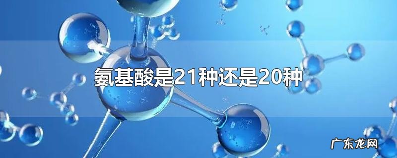 氨基酸是21种还是20种