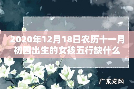 2020年12月18日农历十一月初四出生的女孩五行缺什么