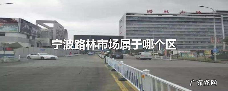 宁波路林市场属于哪个区