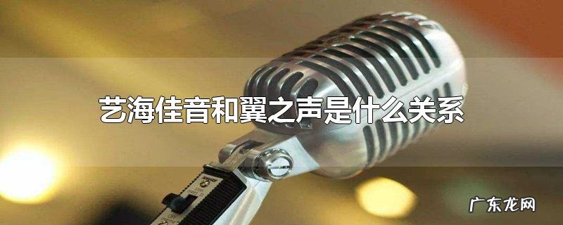 艺海佳音和翼之声是什么关系