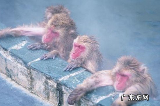 夏天可以泡温泉么