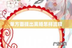 单方面提出离婚怎样流程