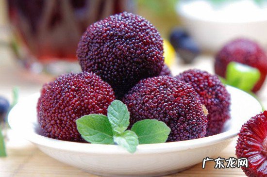 杨梅怎么清洗泡酒