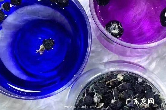 女人喝黑枸杞好处