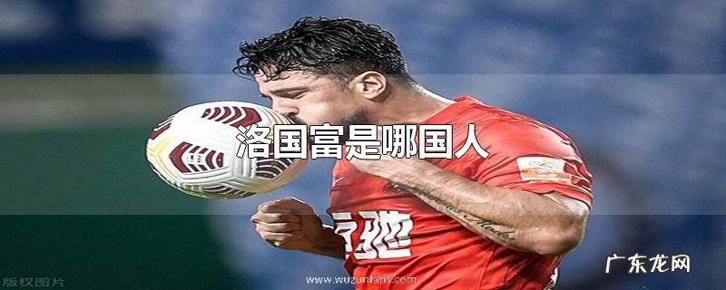 洛国富是哪国人