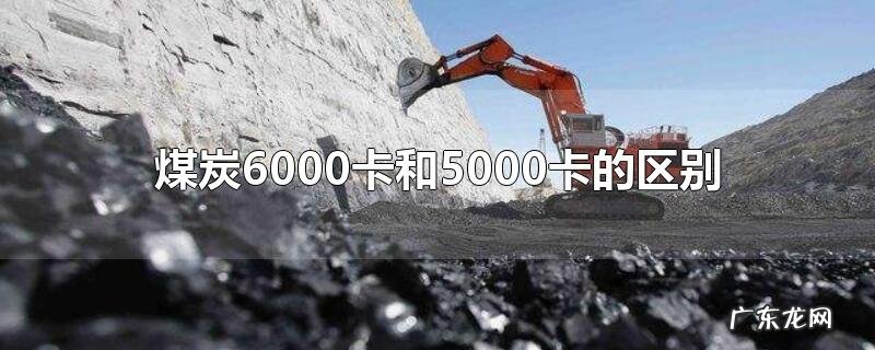 煤炭6000卡和5000卡的区别