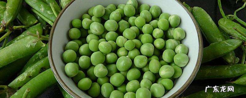 吃豌豆的禁忌