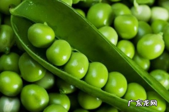 吃豌豆的禁忌