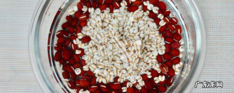 红豆薏米茶怎么喝