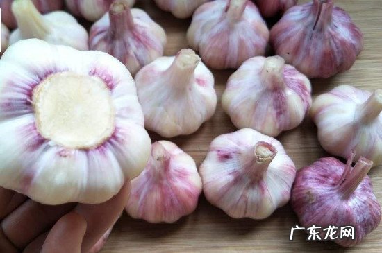 大蒜腌多长时间可以吃