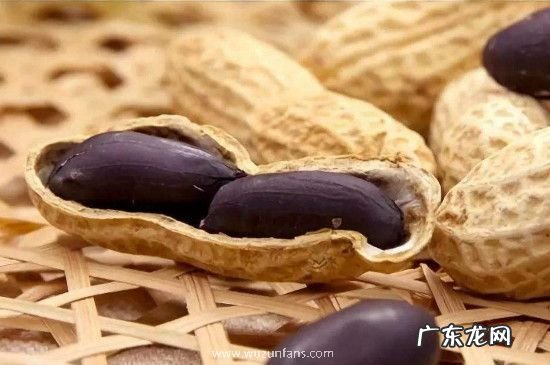 黑花生的功效与作用及禁忌