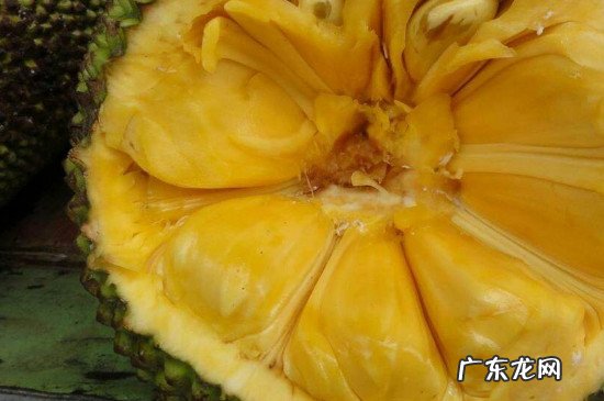 菠萝蜜不熟切开会坏吗