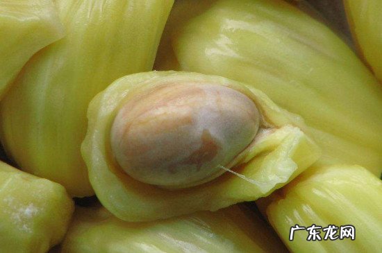 吃菠萝蜜的正确吃法